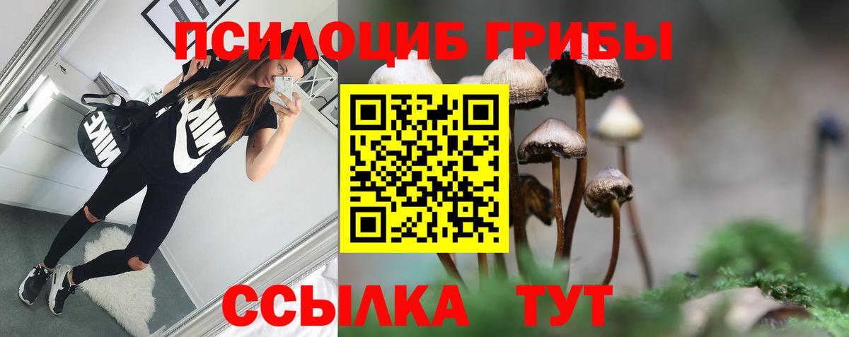 Псилоцибиновые грибы Psilocybine cubensis  купить наркоту  Вход с VPN  Люберцы  Галлюциногенные грибы мицелий 